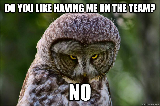 Do you like having me on the team? No - Do you like having me on the team? No  Debate Coach Owl
