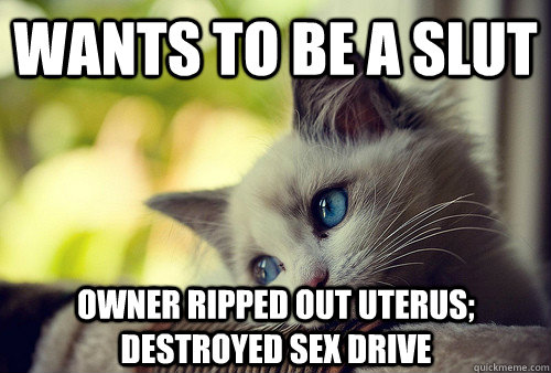 Wants to be a slut Owner ripped out uterus; destroyed sex drive - Wants to be a slut Owner ripped out uterus; destroyed sex drive  First World Cat Problems