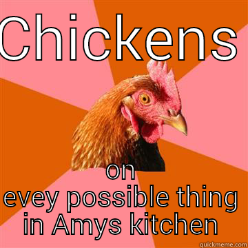 cock-a-doodle doo - CHICKENS ON EVEY POSSIBLE THING IN AMYS KITCHEN Anti-Joke Chicken