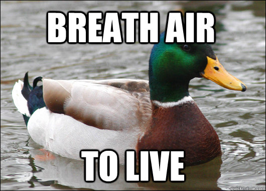 Breath air To live  Actual Advice Mallard