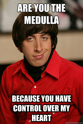 Are you the medulla oblongata because you have control over my heart - Are you the medulla oblongata because you have control over my heart  Howard Wolowitz