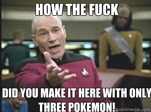 HOw THE FUCK did you make it here with only three pokemon!  