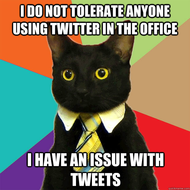 I do not tolerate anyone using twitter in the office I have an issue with tweets  Business Cat