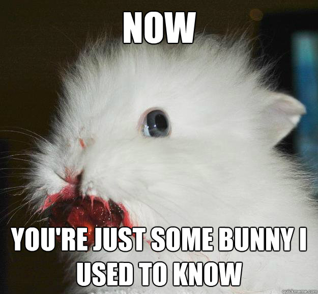 Now you're just some bunny I used to know  Murder Bunny