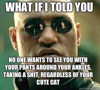 what if i told you No one wants to see you with your pants around your ankles, taking a shit, regardless of your cute cat  Matrix Morpheus