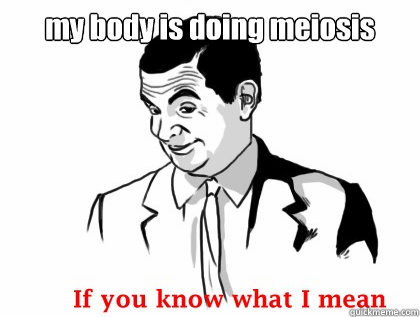 my body is doing meiosis   - my body is doing meiosis    if you know what i mean