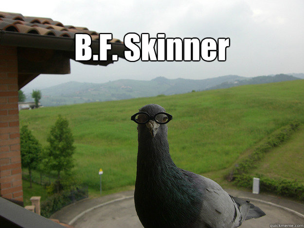 B.F. Skinner - B.F. Skinner  Skinner