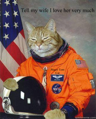  Tell my wife I love her very much Major Tom Cat -  Tell my wife I love her very much Major Tom Cat  Astronaut cat
