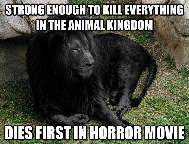 Strong enough to kill everything in the animal kingdom Dies first in horror movie  