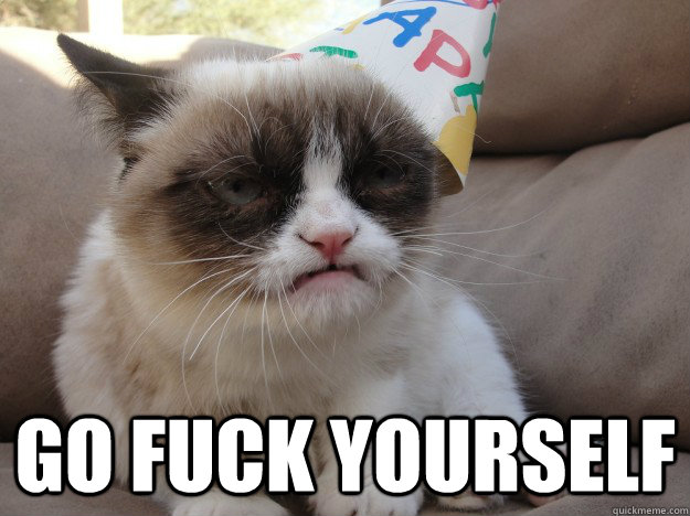  Go Fuck yourself  Grumpy Birthday Cat