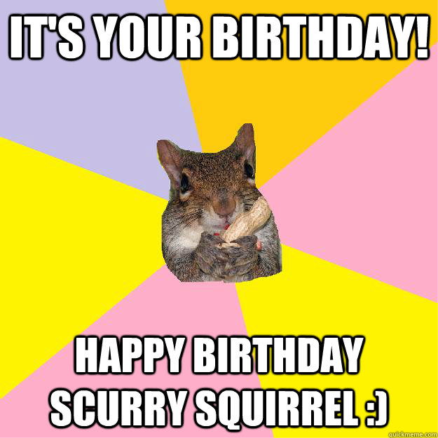 It's your birthday! Happy Birthday Scurry Squirrel :)  Hypochondriac Squirrel