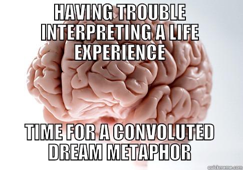 HAVING TROUBLE INTERPRETING A LIFE EXPERIENCE TIME FOR A CONVOLUTED DREAM METAPHOR Scumbag Brain