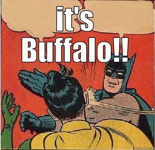 IT'S BUFFALO!!  Batman Slapping Robin
