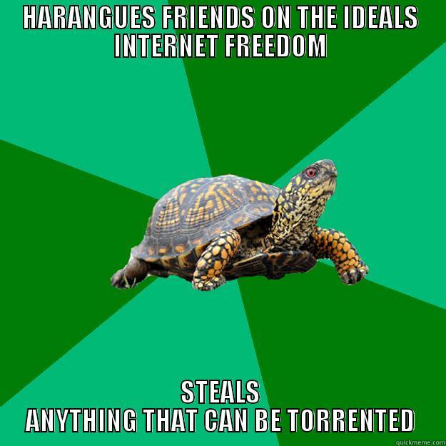 HARANGUES FRIENDS ON THE IDEALS INTERNET FREEDOM STEALS ANYTHING THAT CAN BE TORRENTED Torrenting Turtle