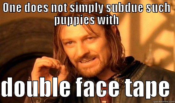 ONE DOES NOT SIMPLY SUBDUE SUCH PUPPIES WITH  DOUBLE FACE TAPE One Does Not Simply