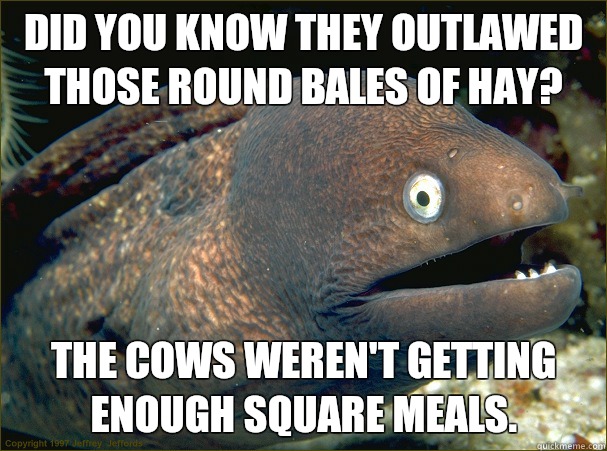 Did you know they outlawed those round bales of hay? The cows weren't getting enough square meals.  Bad Joke Eel