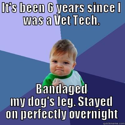 IT'S BEEN 6 YEARS SINCE I WAS A VET TECH. BANDAGED MY DOG'S LEG. STAYED ON PERFECTLY OVERNIGHT Success Kid