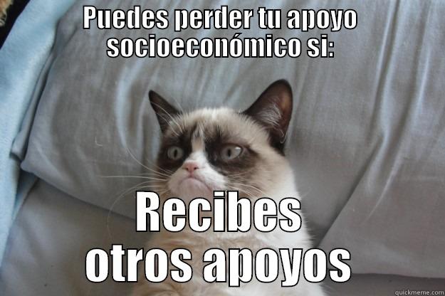 PUEDES PERDER TU APOYO SOCIOECONÓMICO SI: RECIBES OTROS APOYOS Grumpy Cat