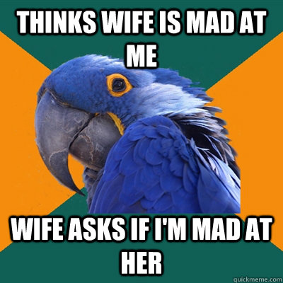 THINKS WIFE IS MAD AT ME WIFE ASKS IF I'M MAD AT HER  Paranoid Parrot
