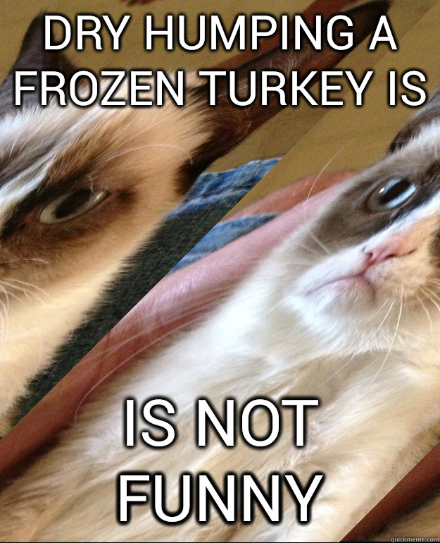 dry humping a frozen turkey is  is not funny  Grumpy Cat