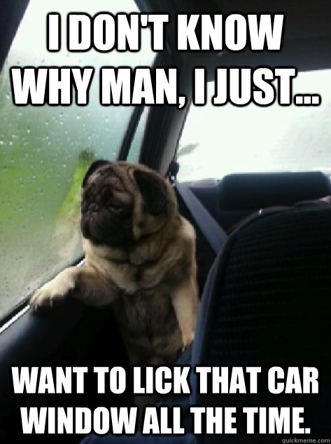 I don't know why man, I just... want to lick that car window all the time. - I don't know why man, I just... want to lick that car window all the time.  Introspective Pug