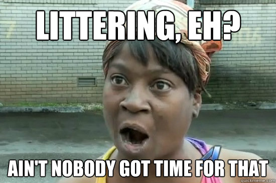 Littering, eh? AIN'T NOBODY GOT TIME FOR THAT  Aint nobody got time for that