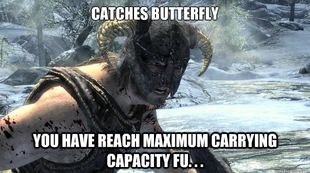 Catches butterfly You have reach maximum carrying capacity FU. . .  Dragonborn Problems