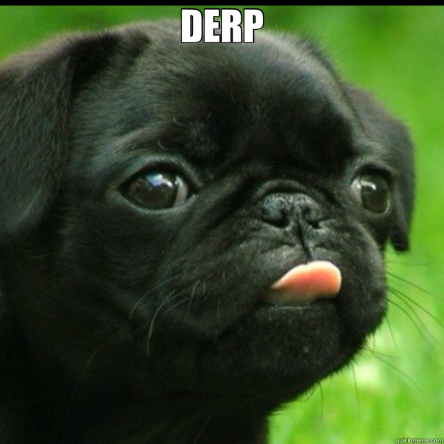 DERP  - DERP   Ignorant Pug