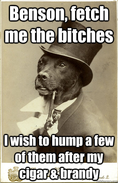 Benson, fetch me the bitches I wish to hump a few of them after my cigar & brandy - Benson, fetch me the bitches I wish to hump a few of them after my cigar & brandy  Old Money Dog
