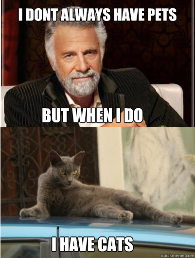 I dont always have pets But when I do





I have cats  dos equis cats