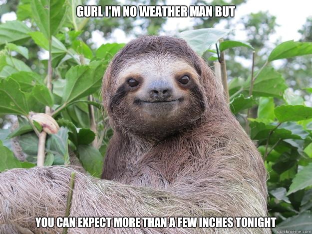 GURL I'M NO WEATHER MAN BUT YOU CAN EXPECT MORE THAN A FEW INCHES TONIGHT  Stoned Sloth