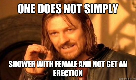 One Does Not Simply Shower with female and not get an erection  Boromir