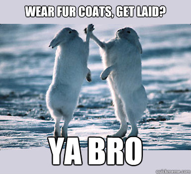 wear fur coats, get laid? ya bro - wear fur coats, get laid? ya bro  Bunny Bros