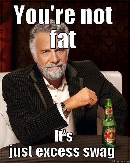 YOU'RE NOT FAT IT'S JUST EXCESS SWAG  The Most Interesting Man In The World
