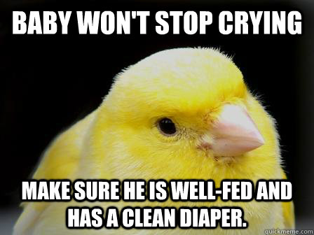 Baby won't stop crying Make sure he is well-fed and has a clean diaper.  