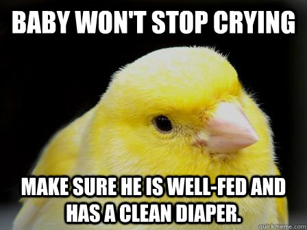 Baby won't stop crying Make sure he is well-fed and has a clean diaper.  Common Sense Canary