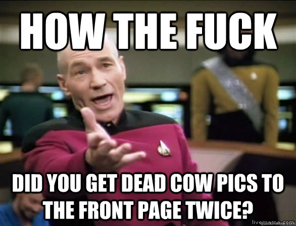 How the fuck did you get dead cow pics to the front page twice?  Annoyed Picard HD