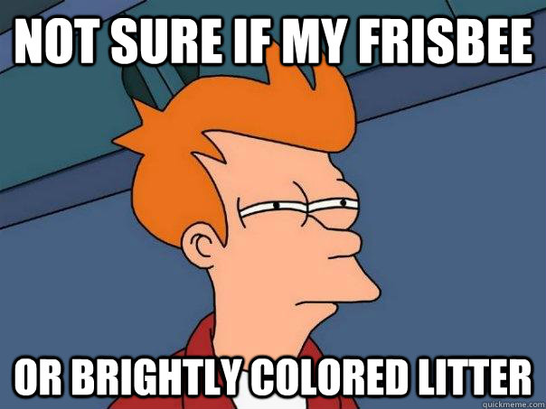 Not sure if my frisbee Or brightly colored litter  Futurama Fry