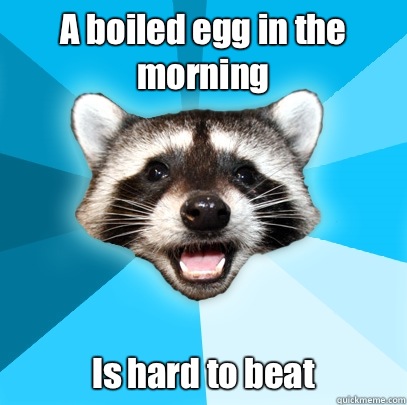 A boiled egg in the morning Is hard to beat  Lame Pun Coon