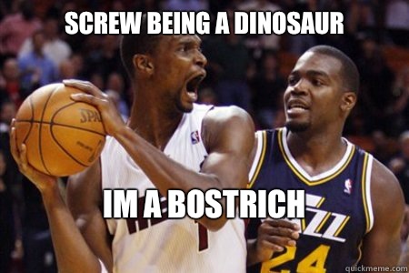 Screw being a dinosaur Im a bostrich 
 - Screw being a dinosaur Im a bostrich 
  chris bosh dinosaur