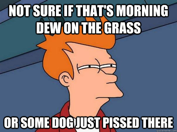 Not sure if that's morning dew on the grass Or some dog just pissed there  Futurama Fry