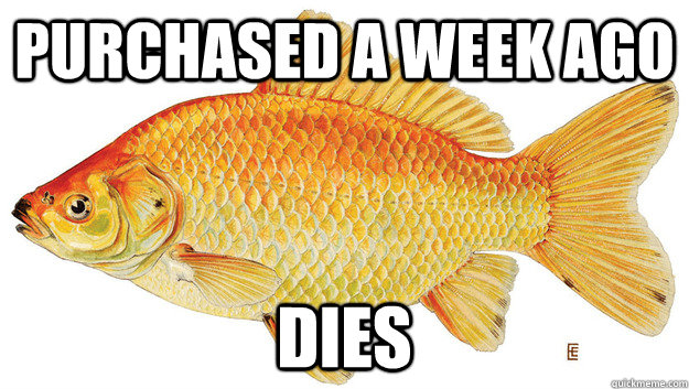 Purchased a week ago dies  