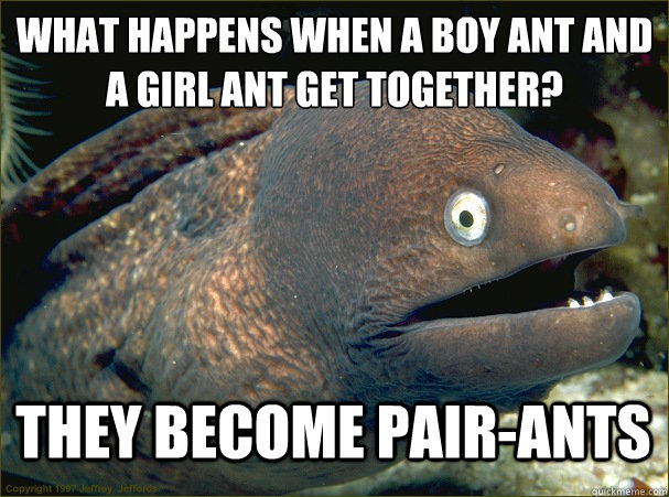 What happens when a boy ant and a girl ant get together? tHEY BECOME PAIR-ANTS - What happens when a boy ant and a girl ant get together? tHEY BECOME PAIR-ANTS  Bad Joke Eel
