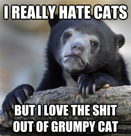 I really hate cats but i love the shit out of grumpy cat  Confession Bear