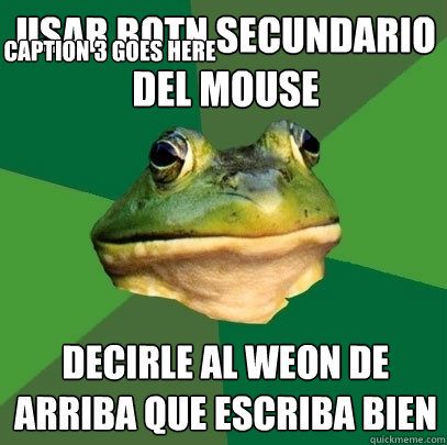 USAR BOTÓN SECUNDARIO DEL MOUSE  DECIRLE AL WEON DE ARRIBA QUE ESCRIBA BIEN  Caption 3 goes here  Foul Bachelor Frog