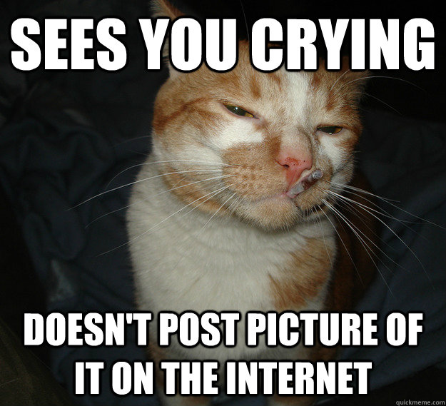 sees you crying doesn't post picture of it on the internet - sees you crying doesn't post picture of it on the internet  Cool Cat Craig