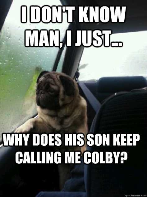 I don't know man, I just... Why does his son keep calling me colby?  Introspective Pug