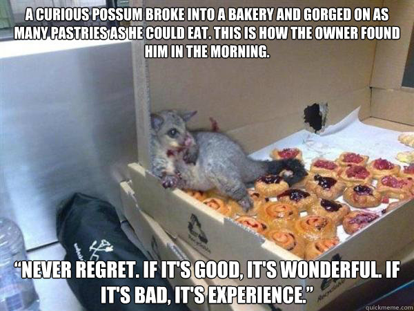 A curious possum broke into a bakery and gorged on as many pastries as he could eat. This is how the owner found him in the morning. “Never regret. If it's good, it's wonderful. If it's bad, it's experience.”  Possum Breaks Into Bakery