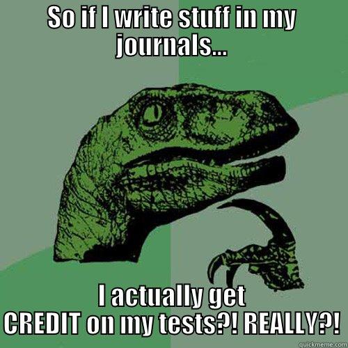 SO IF I WRITE STUFF IN MY JOURNALS... I ACTUALLY GET CREDIT ON MY TESTS?! REALLY?! Philosoraptor