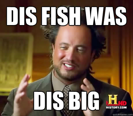 Dis fish was dis big  